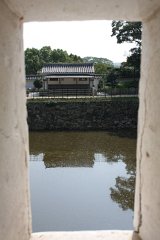 IMG 4035