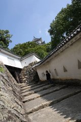 IMG 4046