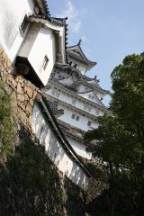 IMG 4051