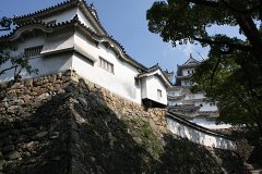 IMG 4053