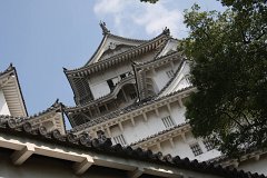 IMG 4056