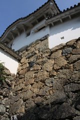 IMG 4060