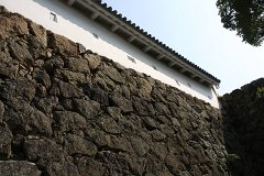 IMG 4061