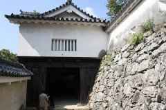IMG 4065