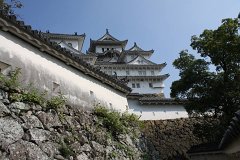 IMG 4067