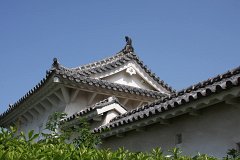 IMG 4071