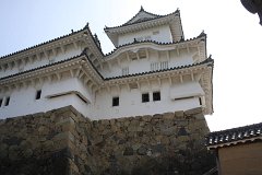 IMG 4076