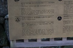 IMG 4082