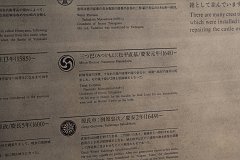 IMG 4084