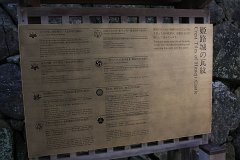 IMG 4087