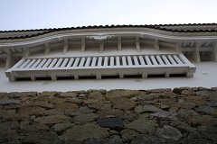 IMG 4089