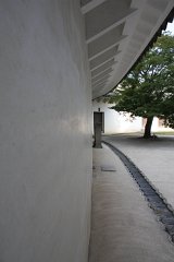 IMG 4091