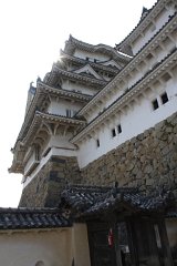 IMG 4096