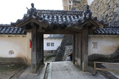 IMG 4097