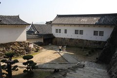 IMG 4099