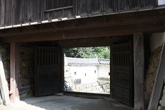 IMG 4102