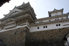 IMG 4104