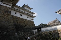 IMG 4105