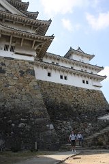 IMG 4106