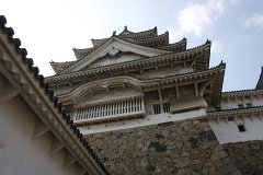 IMG 4108