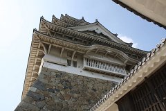 IMG 4110