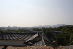 IMG 4114