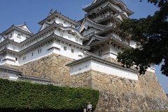 IMG 4116