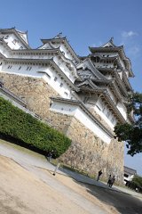 IMG 4119