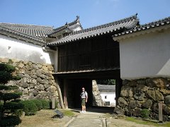 IMG 4120-1