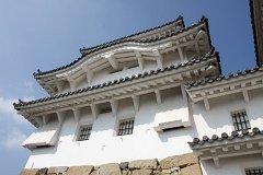 IMG 4125