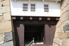 IMG 4126