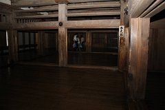 IMG 4134