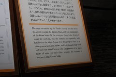 IMG 4137