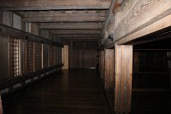 IMG 4138