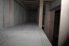 IMG 4141