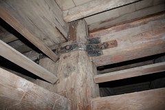 IMG 4142