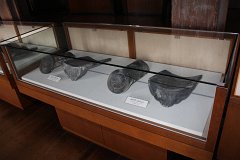 IMG 4151