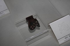 IMG 4154