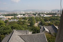 IMG 4161