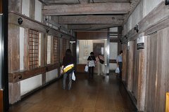 IMG 4169