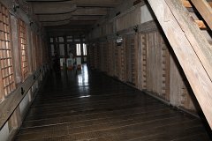 IMG 4176