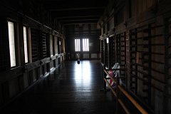 IMG 4179