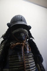 IMG 4188
