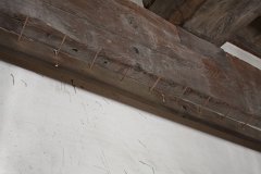 IMG 4197