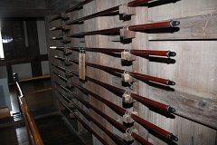 IMG 4203