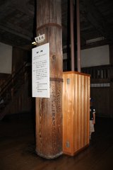 IMG 4206