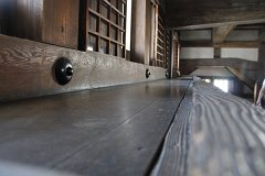 IMG 4213