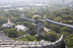 IMG 4219