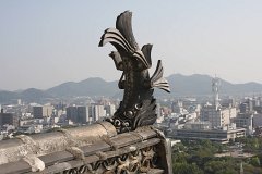 IMG 4223
