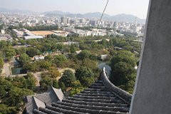 IMG 4224
